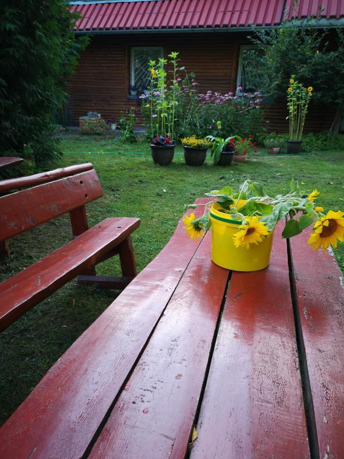 Kryzbarkas Guest House Deguciai  Екстериор снимка